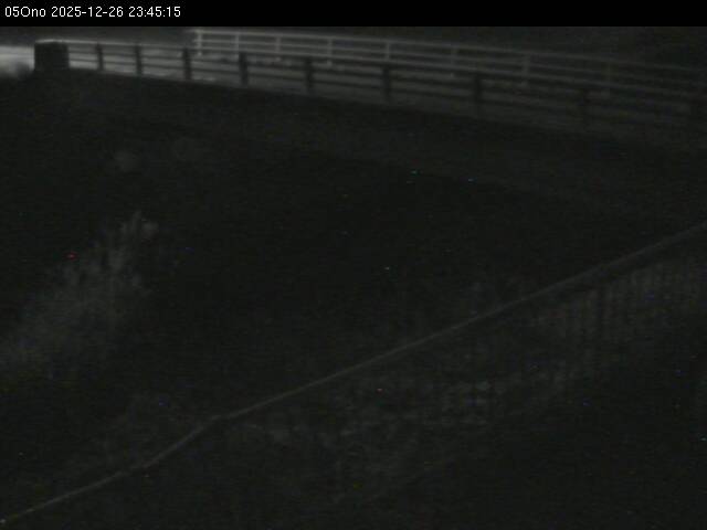 最新監視カメラ画像