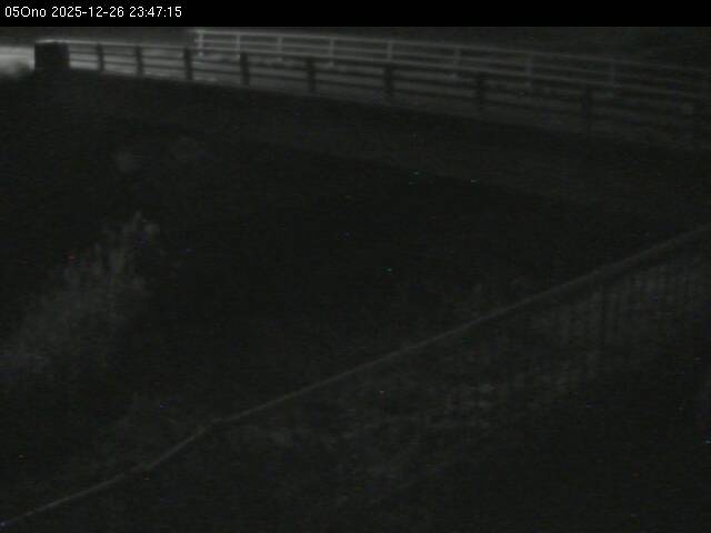 最新監視カメラ画像