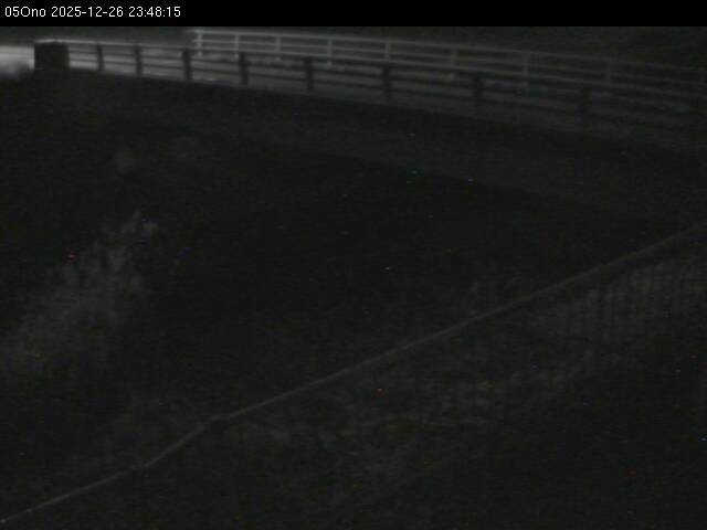 最新監視カメラ画像