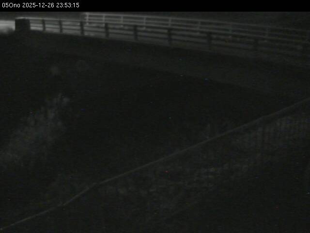 最新監視カメラ画像