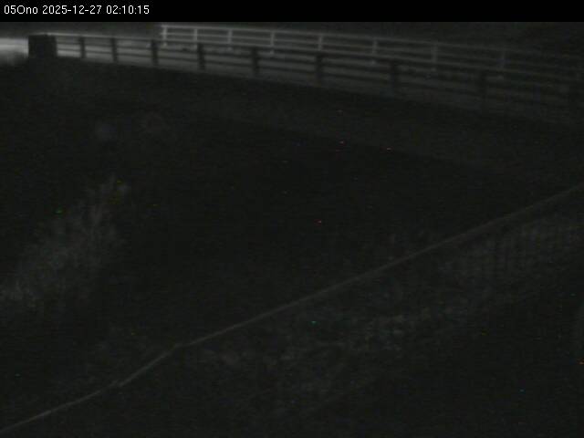 最新監視カメラ画像