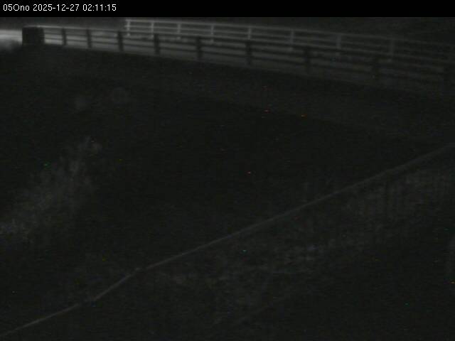 最新監視カメラ画像