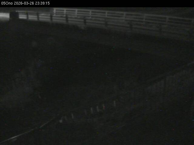 最新監視カメラ画像