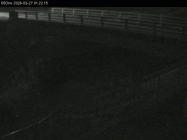 最新監視カメラ画像