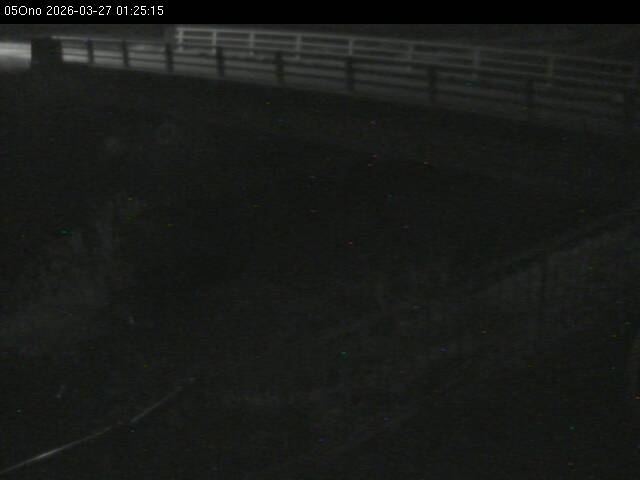 最新監視カメラ画像