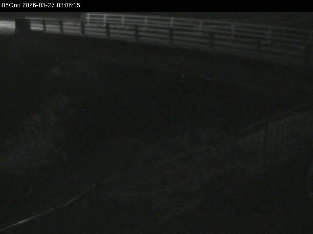 最新監視カメラ画像