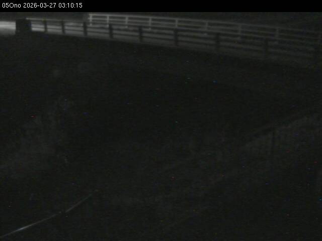 最新監視カメラ画像