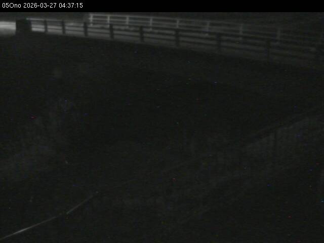 最新監視カメラ画像