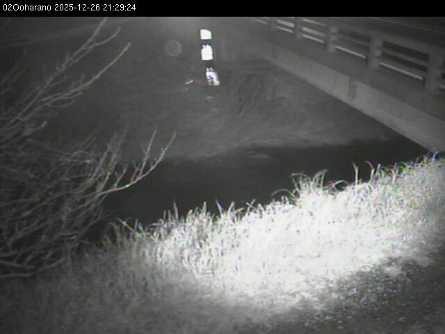 最新監視カメラ画像