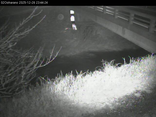 最新監視カメラ画像