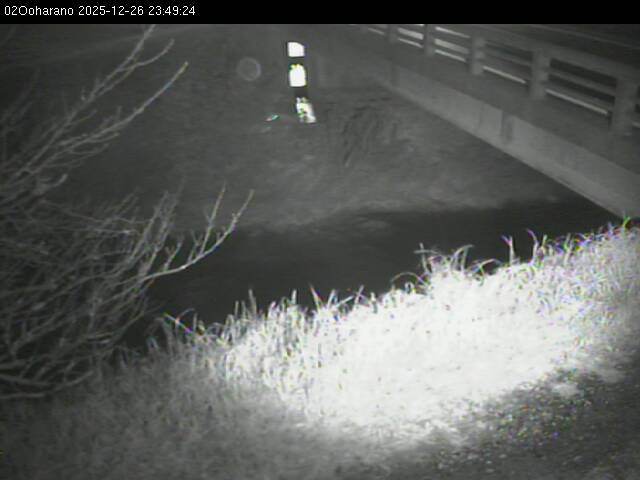 最新監視カメラ画像