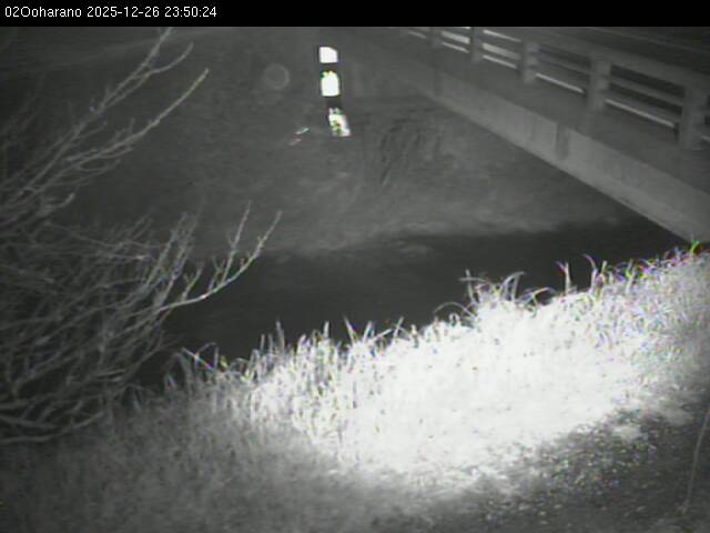 最新監視カメラ画像