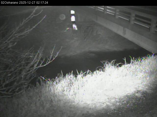 最新監視カメラ画像