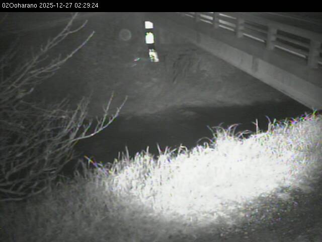 最新監視カメラ画像