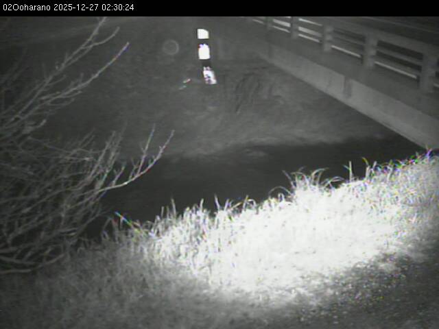 最新監視カメラ画像