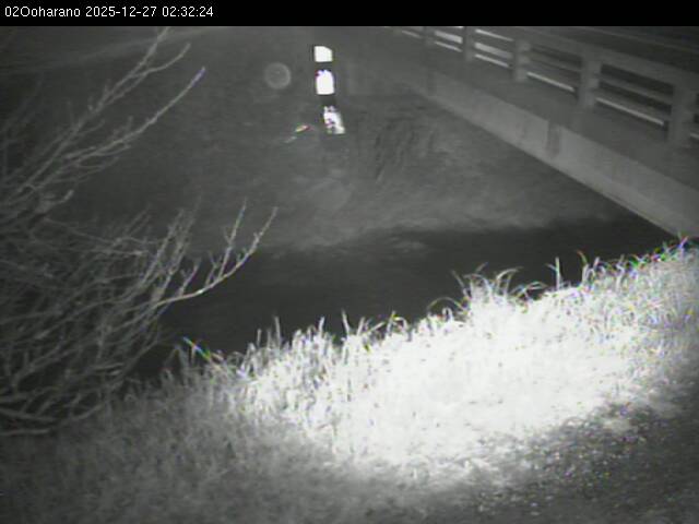 最新監視カメラ画像