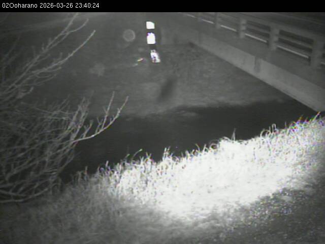 最新監視カメラ画像