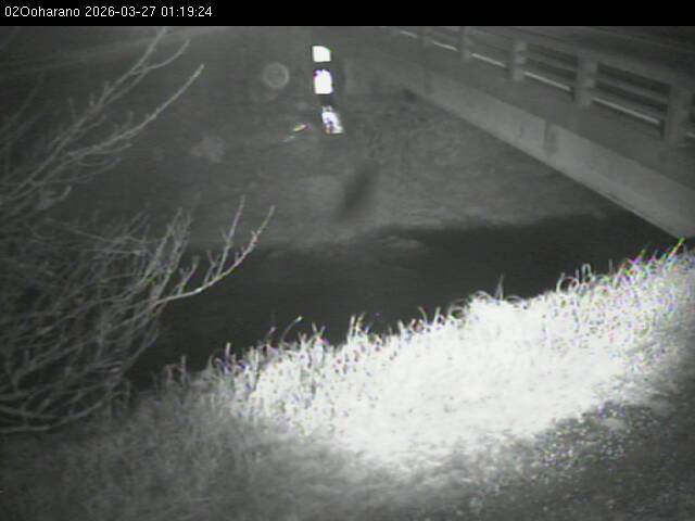 最新監視カメラ画像