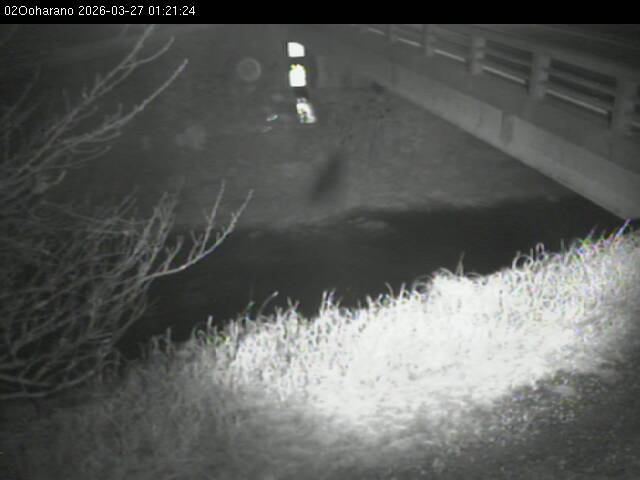 最新監視カメラ画像