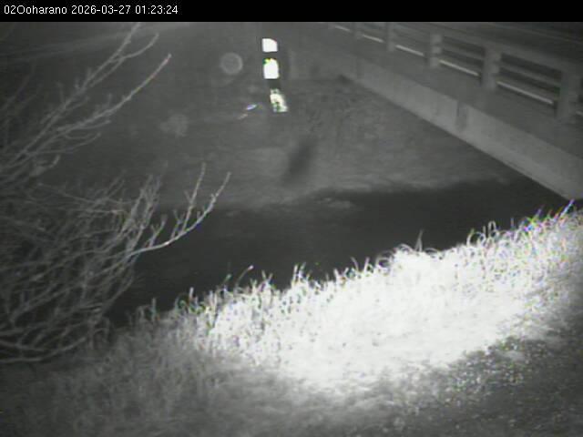 最新監視カメラ画像