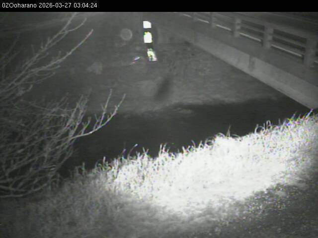 最新監視カメラ画像