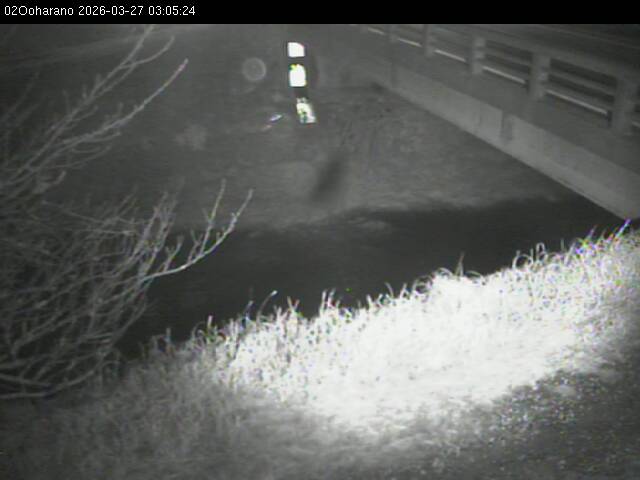 最新監視カメラ画像