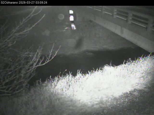 最新監視カメラ画像