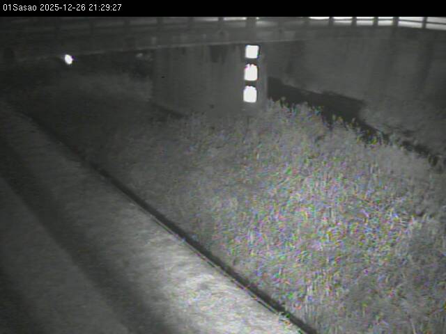 最新監視カメラ画像