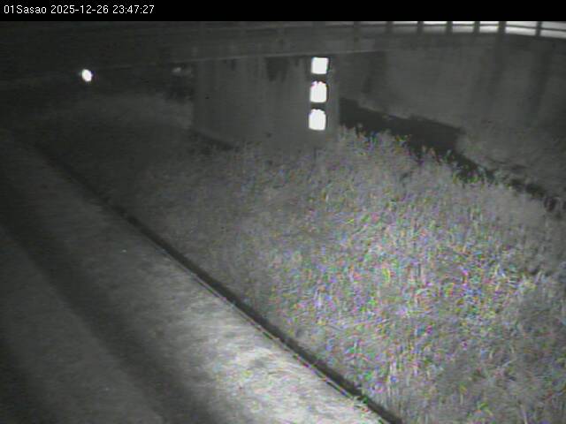 最新監視カメラ画像