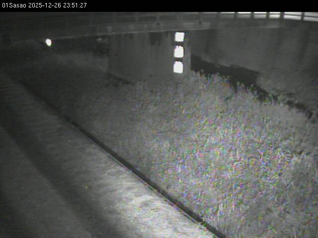 最新監視カメラ画像