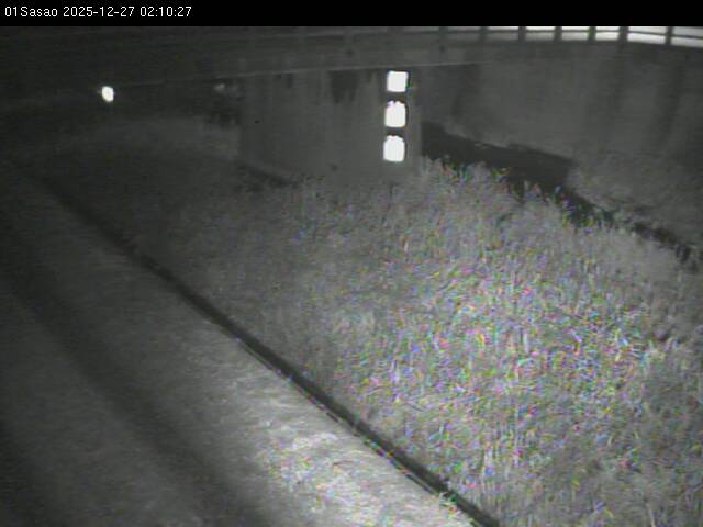 最新監視カメラ画像