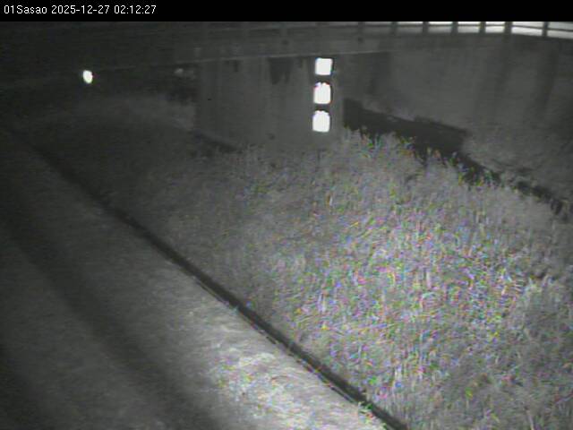 最新監視カメラ画像