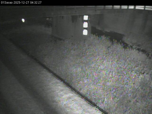 最新監視カメラ画像