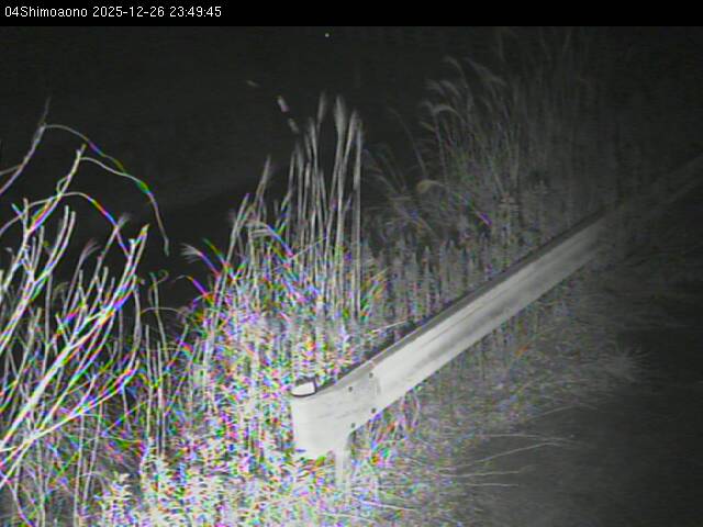 最新監視カメラ画像