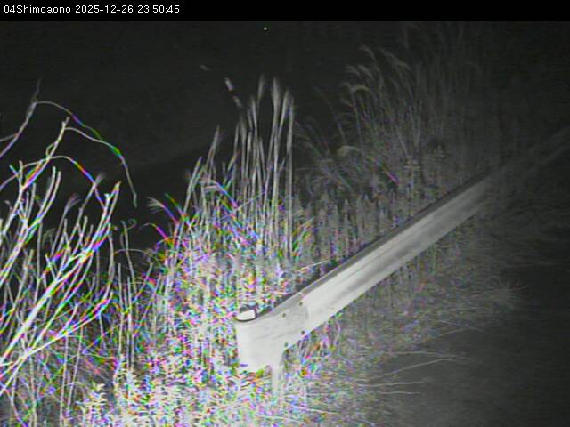 最新監視カメラ画像