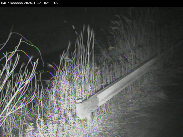 最新監視カメラ画像