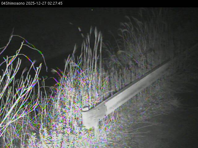 最新監視カメラ画像