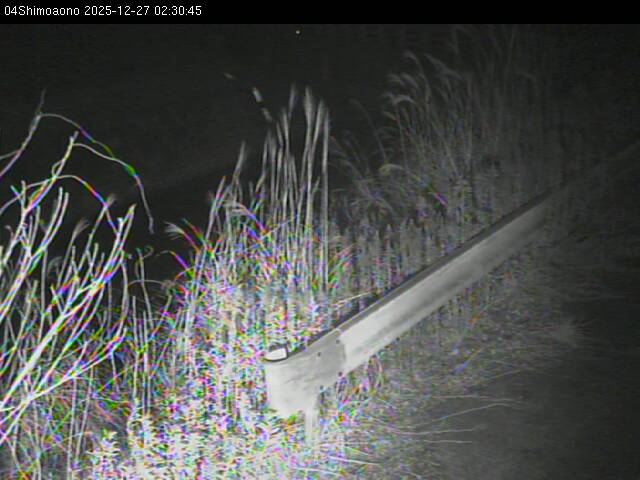 最新監視カメラ画像