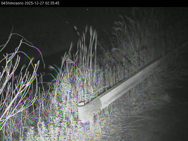 最新監視カメラ画像