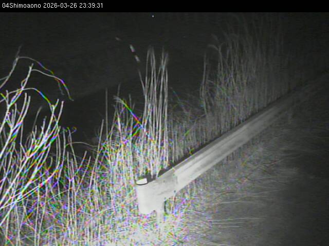 最新監視カメラ画像