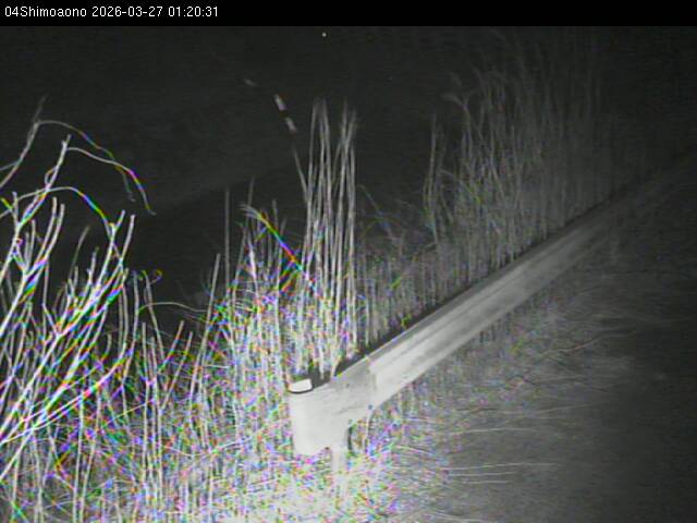 最新監視カメラ画像