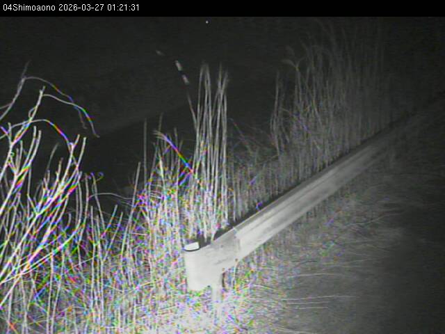 最新監視カメラ画像