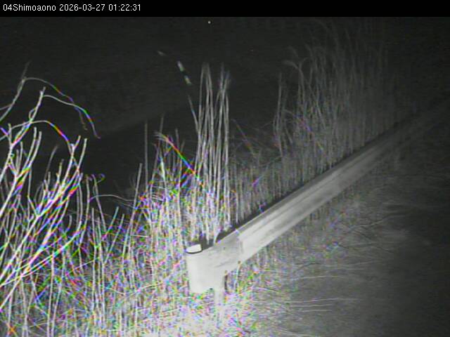 最新監視カメラ画像