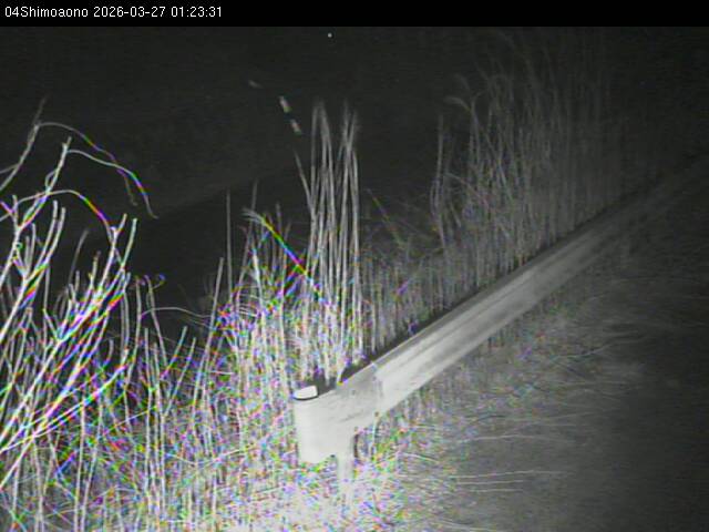 最新監視カメラ画像