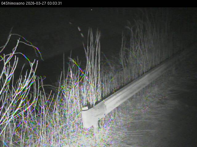 最新監視カメラ画像