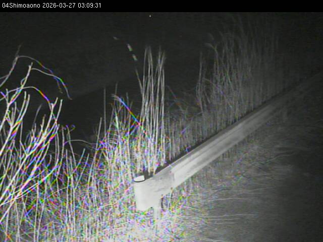 最新監視カメラ画像