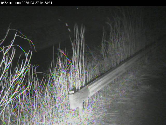 最新監視カメラ画像