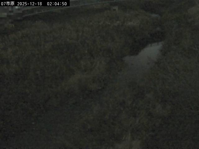 最新監視カメラ画像