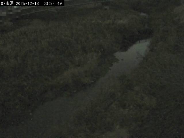 最新監視カメラ画像