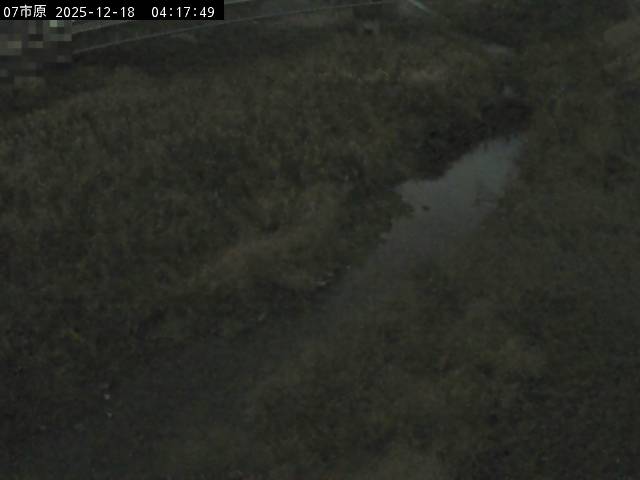 最新監視カメラ画像